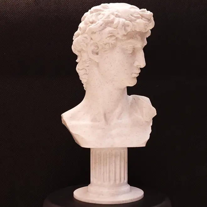 Michelangelo's David Marble Bust